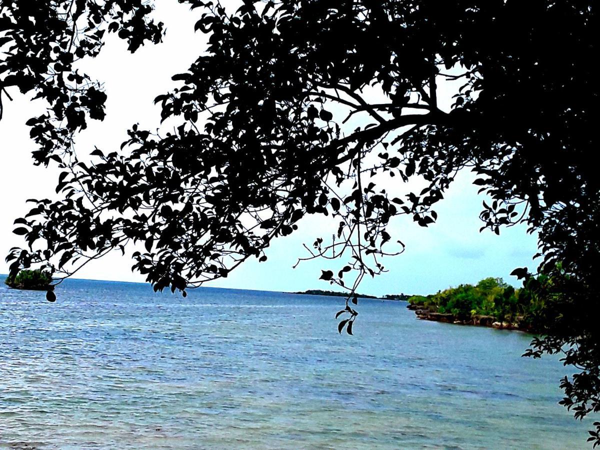 Adayo Cove Resort Siquijor Kültér fotó